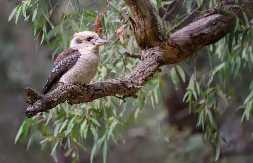 Superação: Como Transformar Desafios em Oportunidades na Sua Vida